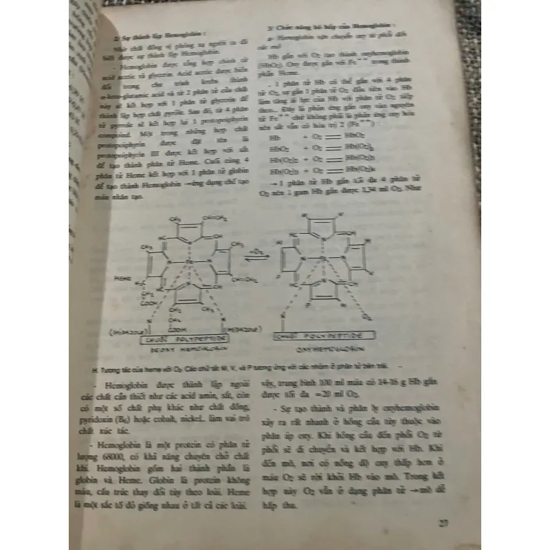 Sinh lý học, in năm 1991, Đại học Y dược Tp Hồ Chí Minh 1021241