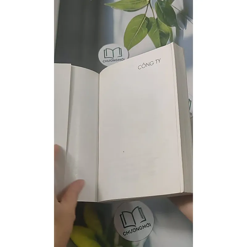 Công ty - Phan Hùng Nhiên 688482