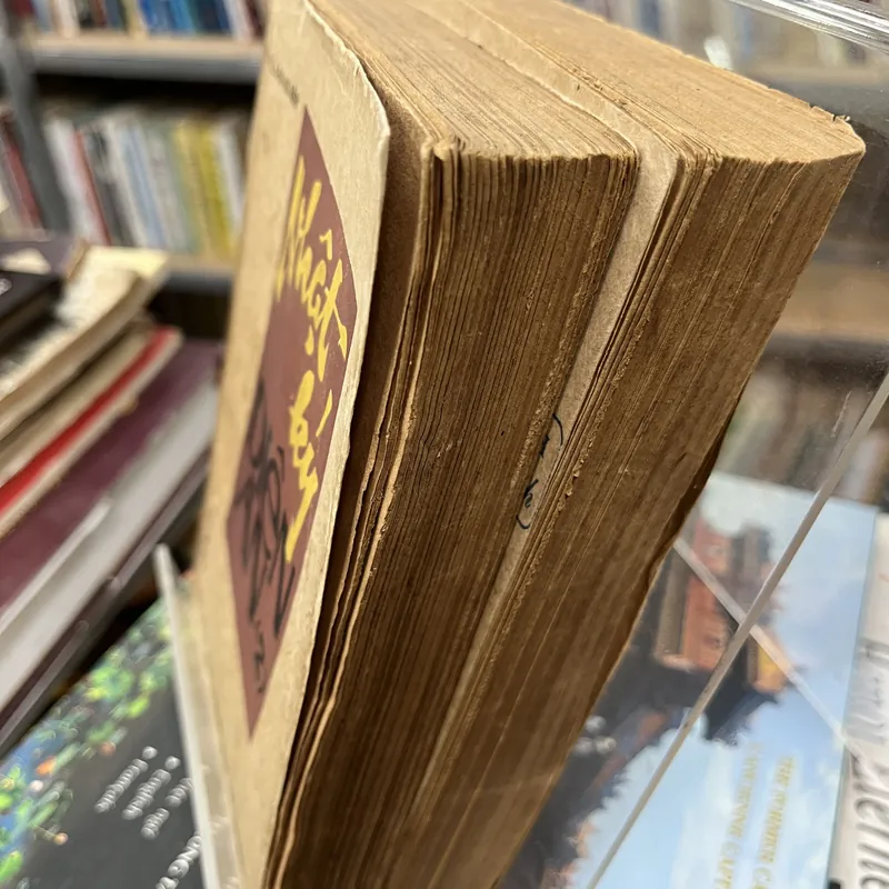 NHẬT KÝ DIÊN AN( 2 tập) 588343