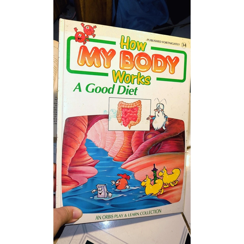 Sách tiếng Anh cho trẻ tìm hiểu về Diet - series How my body works 501694