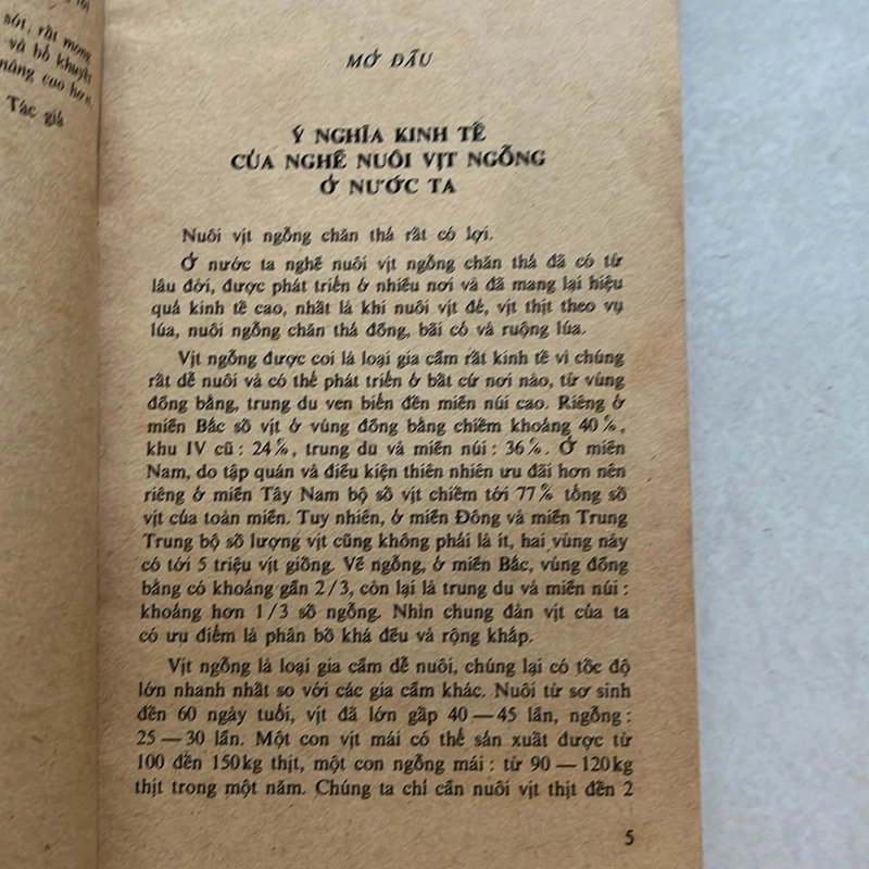 Nuôi vịt ngỗng chăn thả — 1979s 498350