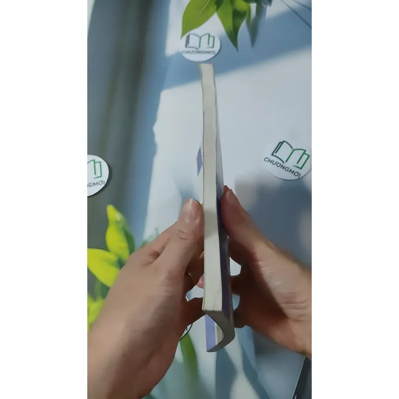 Hỏi & Đáp Tư Tưởng Hồ Chí Minh - PGS, TS Hoàng Trang 928607