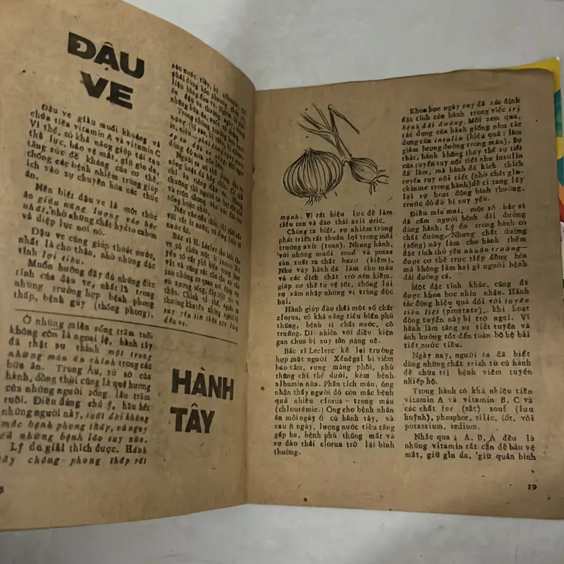 Rau quả và sức khoẻ - Đông A sưu khảo 661452