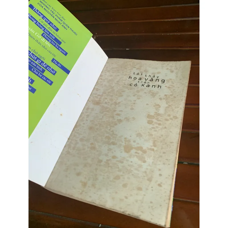 Tôi thấy hoa vàng trên cỏ xanh 1045100