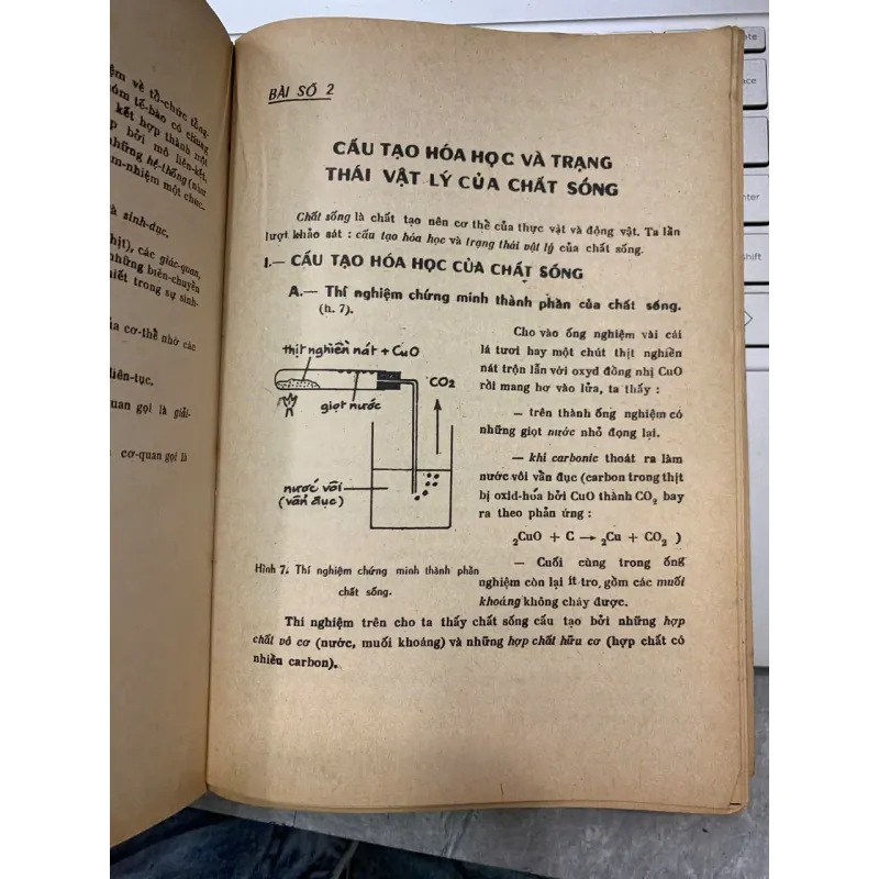 VẠN VẬT HỌC LỚP MƯỜI HAI A - ĐỖ DANH TẦM & NGUYỄN VĂN LONG 716801