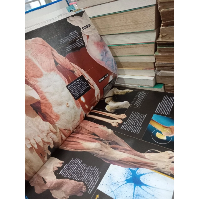 Guinness world records 2007 797797