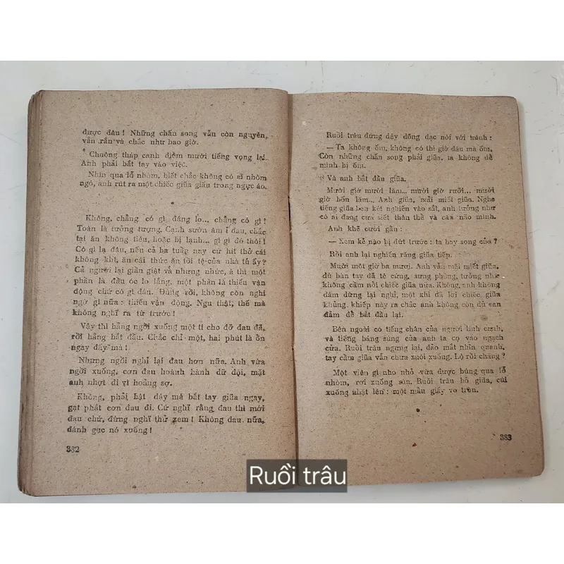 Văn học kinh điển: RUỒI TRÂU (Ethel Lilian Voynich) 709246