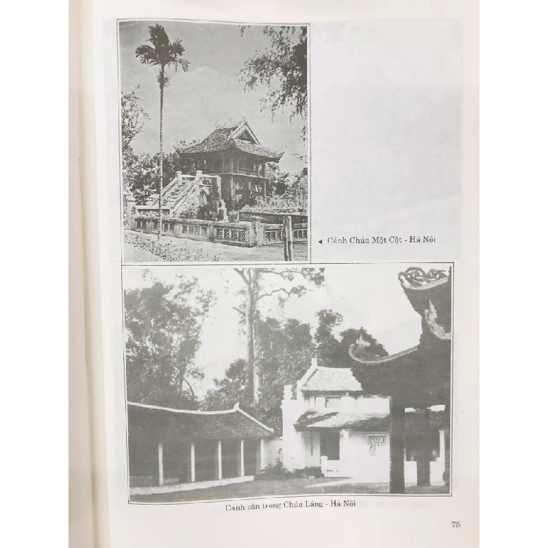 Kiến trúc cổ Việt Nam - Vũ Tam Lang ( khổ dài ) 126661