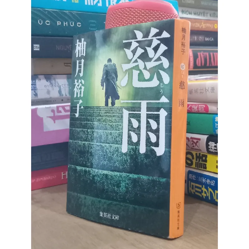 Sách tiếng Nhật 166 336915