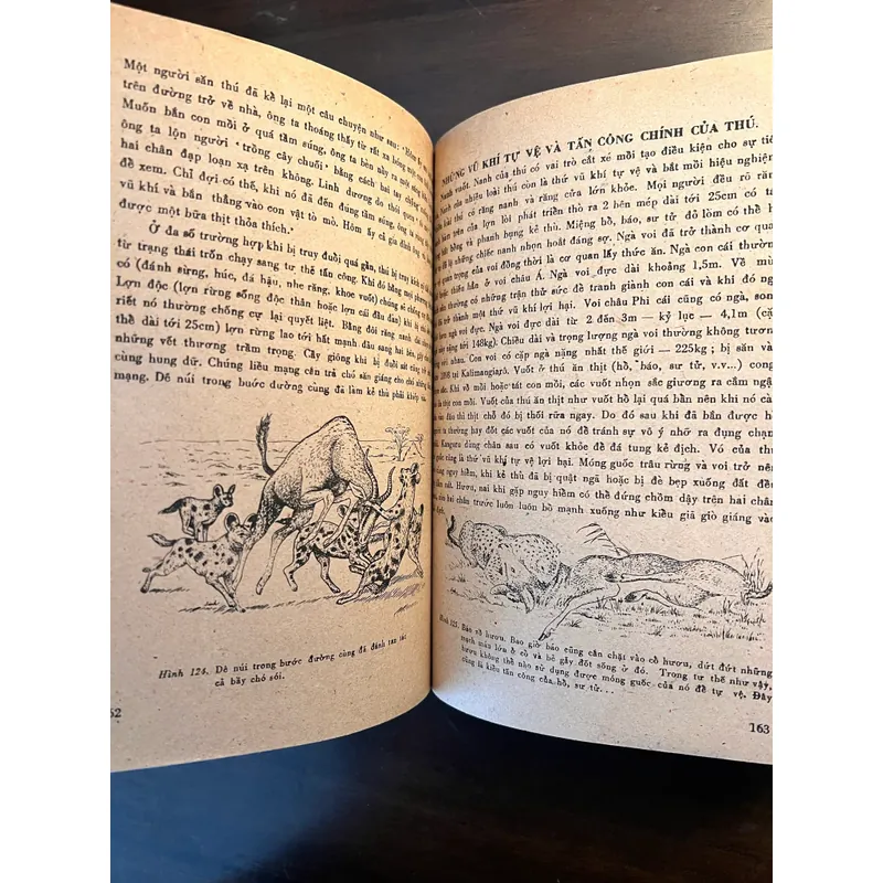 📖 Đời sống các loài thú (xb 1972) 565178
