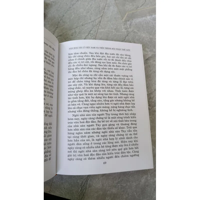 VĂN HOÁ TÀY Ở VIỆT NAM VÀ TIẾN TRÌNH HỘI NHẬP THẾ GIỚI - DƯƠNG THUẤN 789751