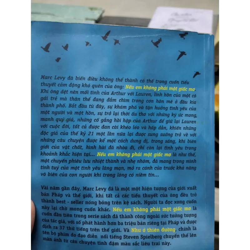 tiểu thuyết Nếu em không phải một giấc mơ (tên gốc tiếng Pháp: Et si c'était vrai...) 703775
