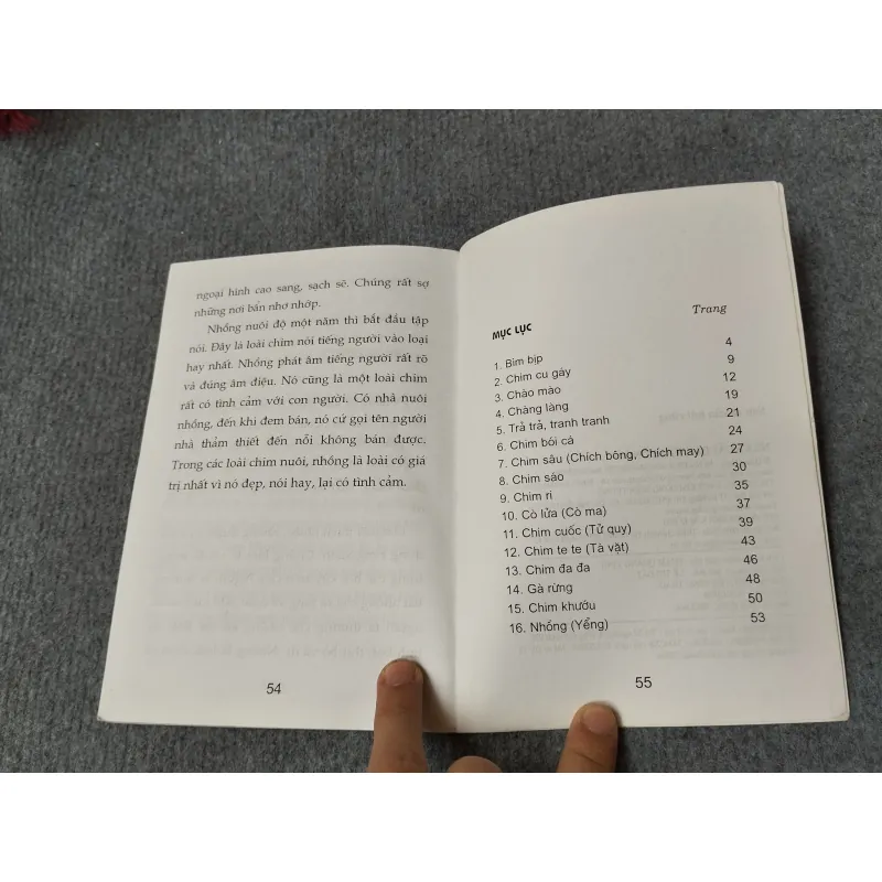 SƠN CA CỦA NÚI RỪNG 720694