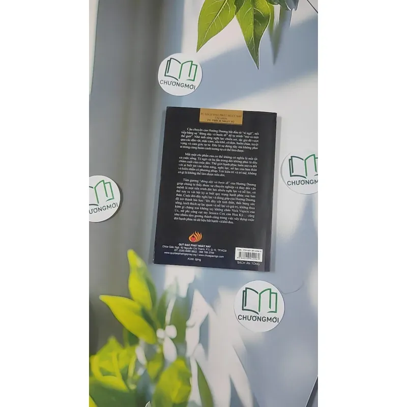 Đứng Dậy Và Bước Đi - Nguyễn Hướng Dương 798428