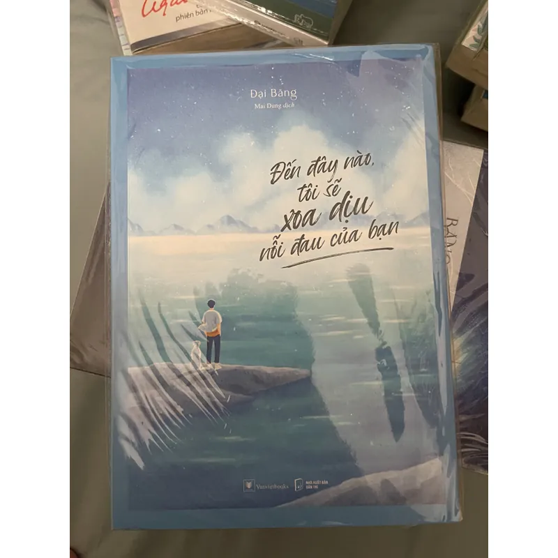 “ Đến đây nào tôi sẽ xoa dịu nỗi đau của bạn” - Đại Băng (sách mới 100%) 604889