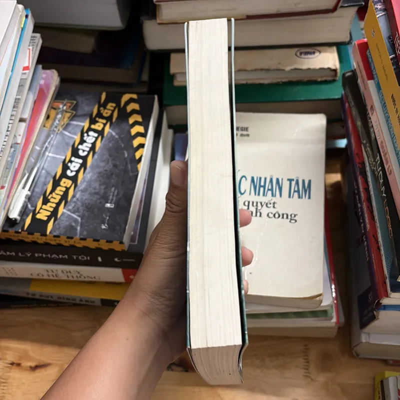 II Tiểu Thuyết: Đừng Treo Đau Thương Trước Cửa - Cao Thuỵ Phong - 2016 697205