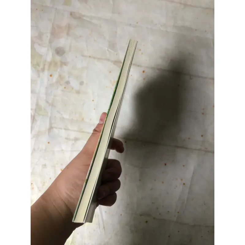 Mùa Hoa Trên Những Lối Sông - Võ Diệu Thanh 776989