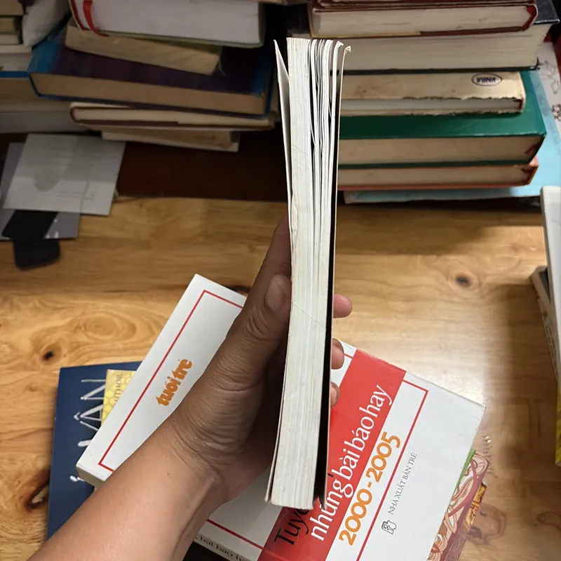 II Tựa sách: Hồi Kí Tâm “Si Đa” _ Vượt Lên Cái Chết - Trương Thị Hồng Tâm - 2012 700950