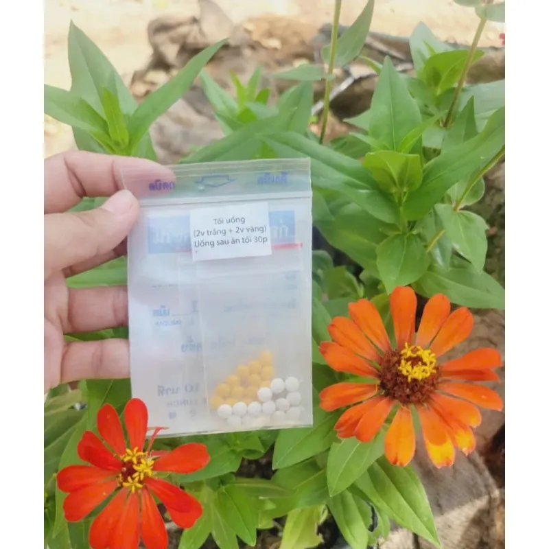 Detox khử mỡ Thái 971571