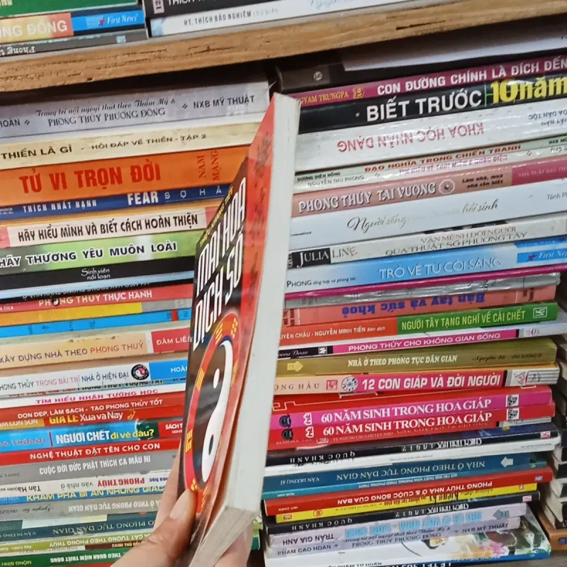 Mai Hoa Dịch Số - Thiệu Khang Tiết  795878