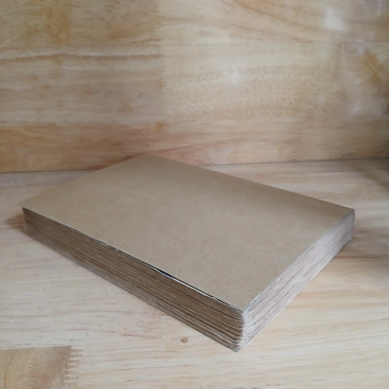 Quãng Đời Đánh Mất - Dương Thu Hương 357331