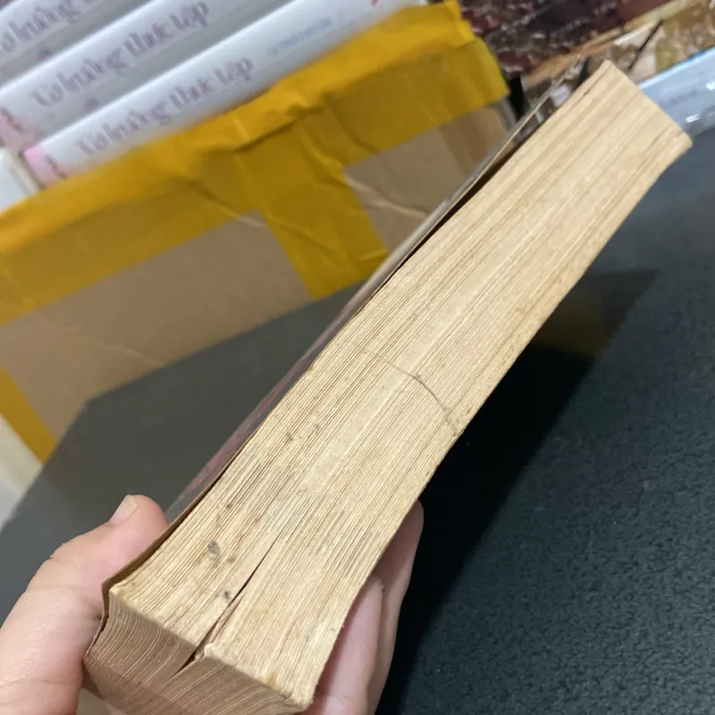 (Ngoại văn) - The Vampire Diaries - L. J. Smith 975986