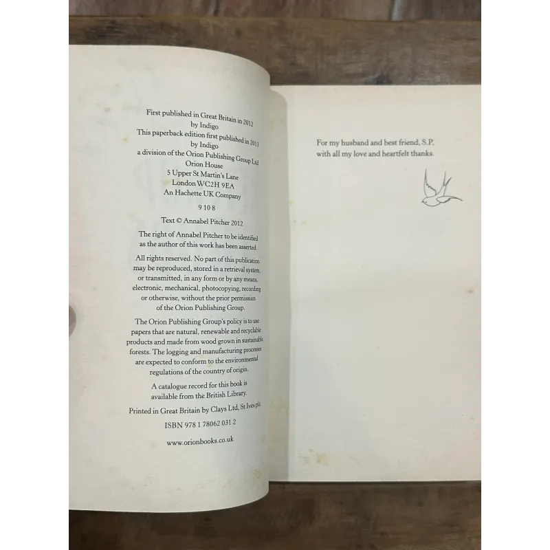 Ketchup Clouds - Annabel Pitcher 731670