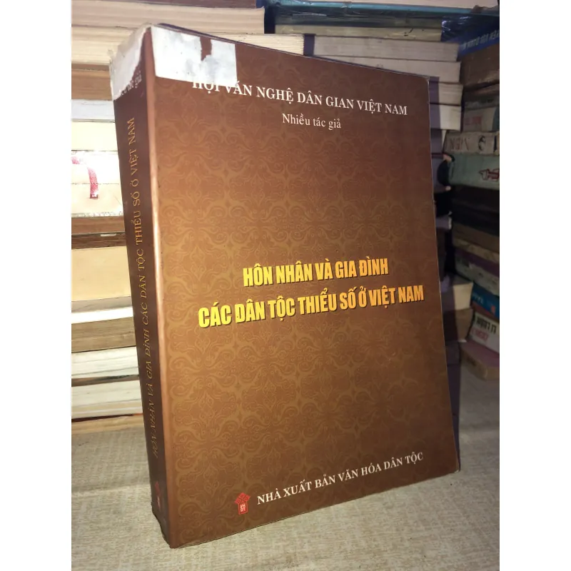 Hôn nhân và gia đình các dân tộc thiểu số ở việt nam  994836