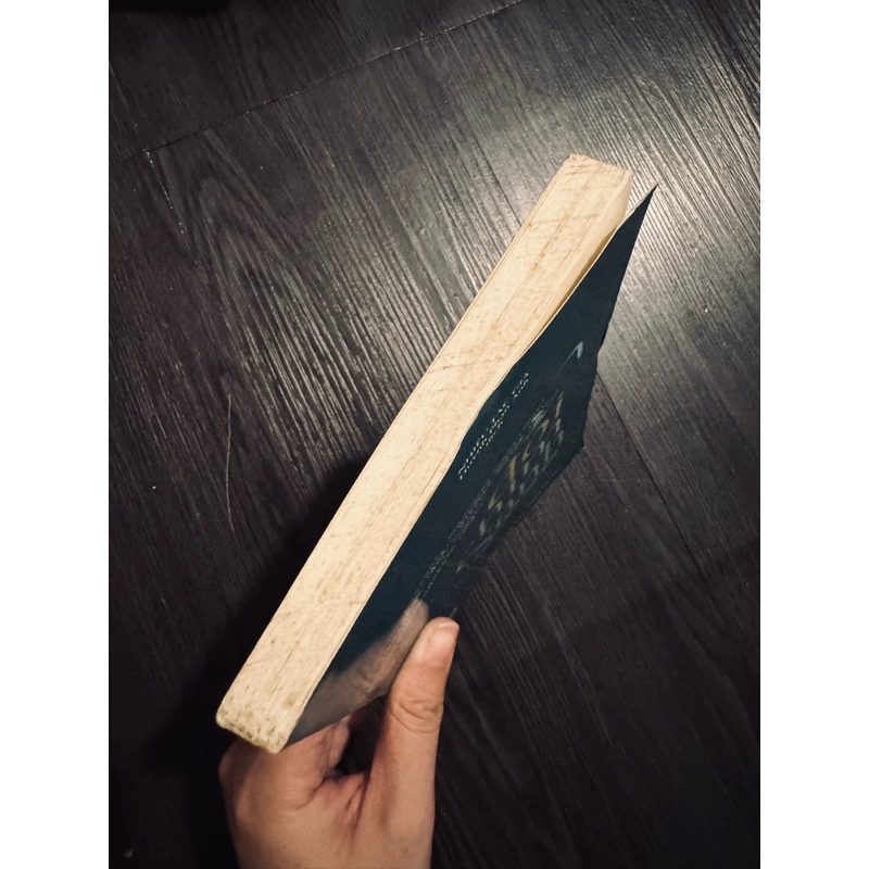 Đôi chim xanh (tuyển tập truyện ngắn) 461911