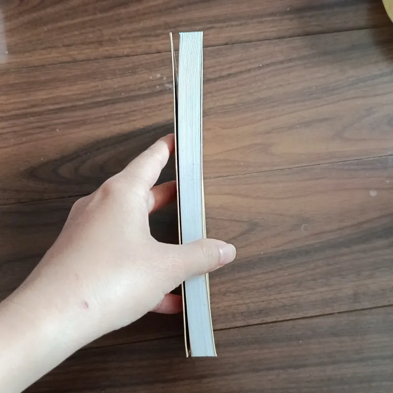 Nghệ thuật bài chòi di sản quí của dân tộc 759473