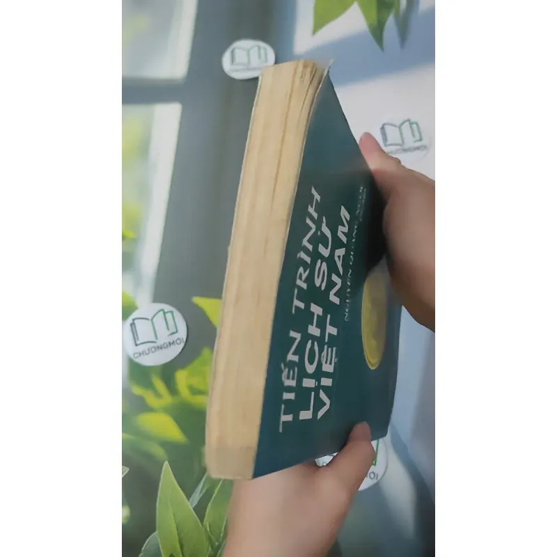 Tiến Trình Lịch Sử Việt Nam - Nguyễn Quang Ngọc 1018964