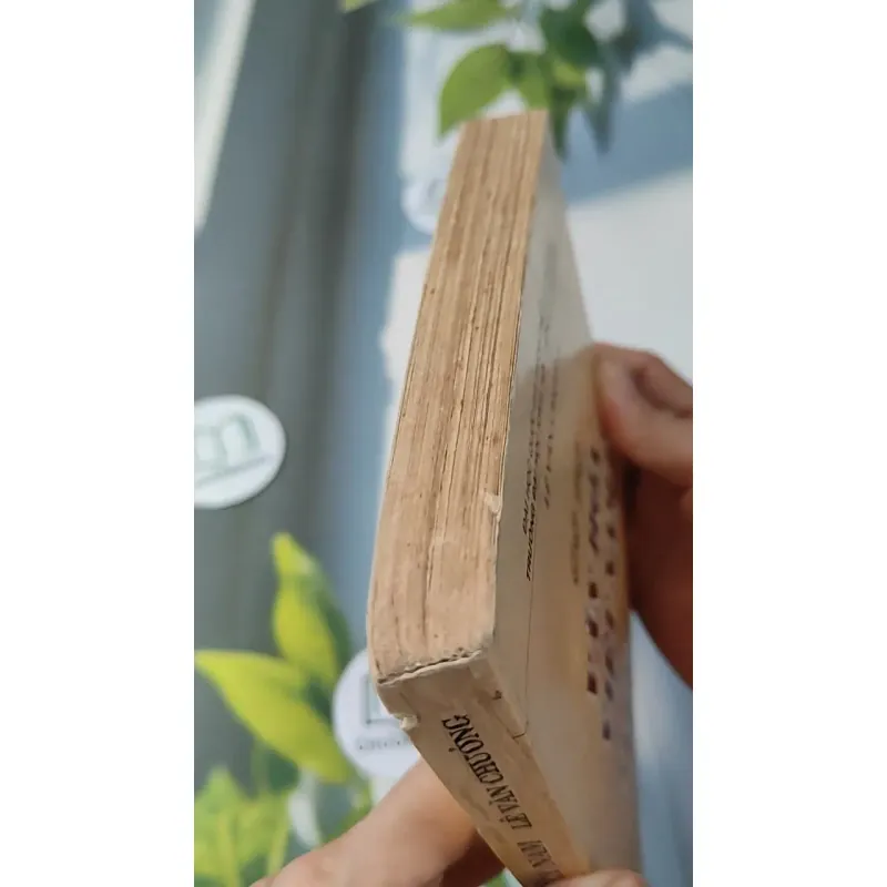 Cơ Sở Văn Hóa Việt Nam - Lê Văn Chưởng 727231