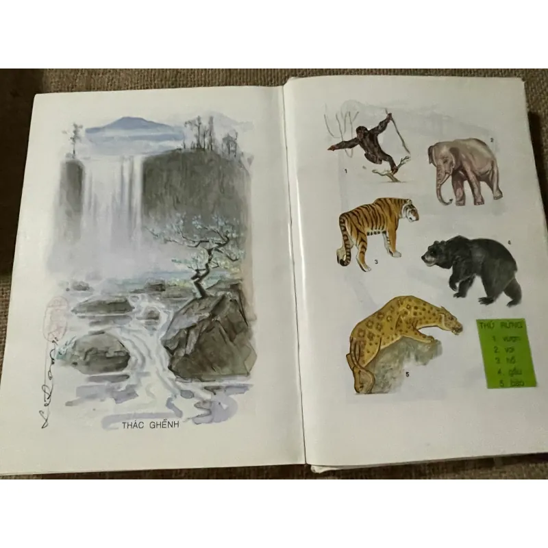 TỪ ĐIỂN GIÁO KHOA TIẾNG VIỆT TIỂU HỌC , MINH HỌA, SÁCH BÌA CỨNG, XB 2000X 573520