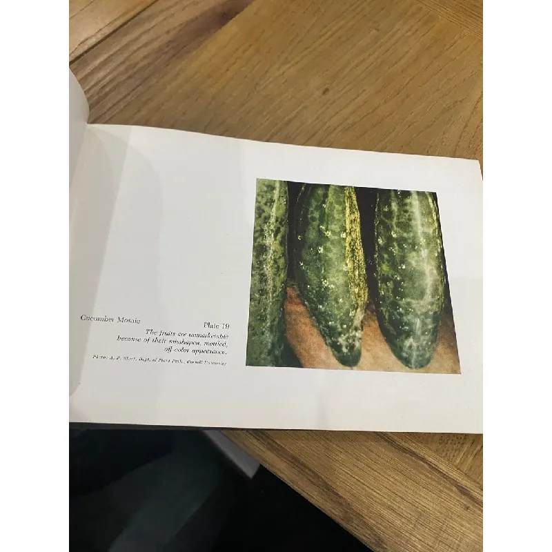 Compendium of Plant Diseases 562687