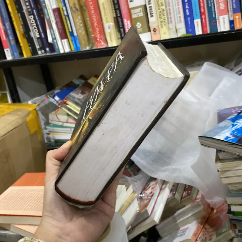 Mật Mã Maya" của tác giả Brian D'Amato 1000752