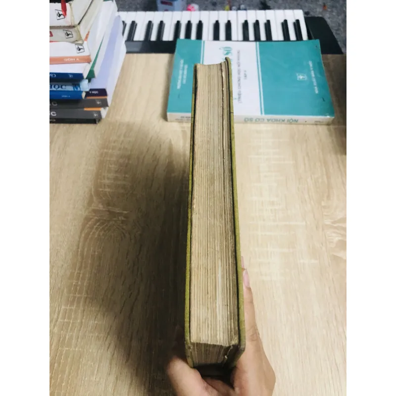 A Functional Approach to Neuroanatomy – Sách y khoa kinh điển  1013028