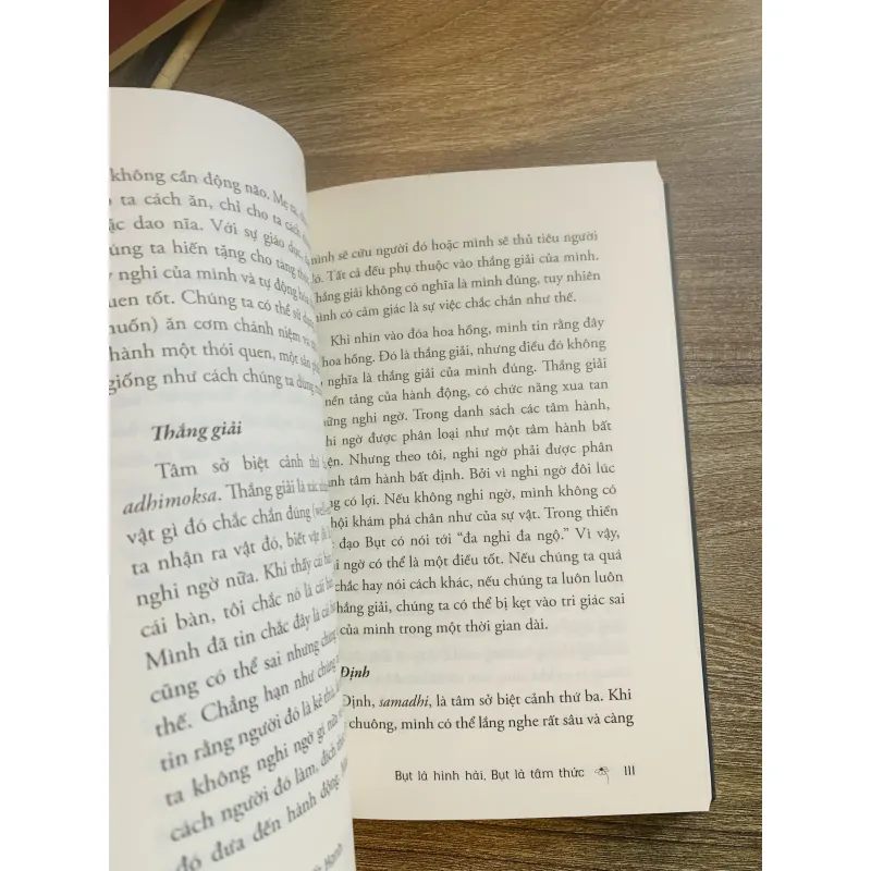 Bụt là hình hài, bụt là tâm thức 980732