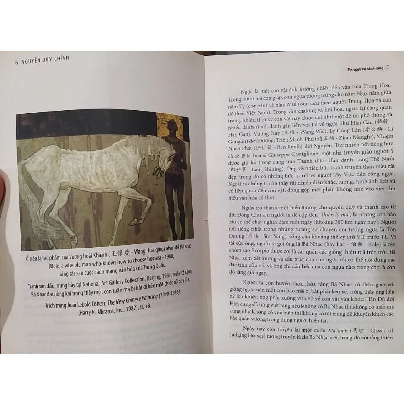 Vó ngựa và cánh cung - Nguyễn Duy Chính 601084