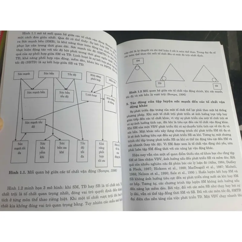 Giáo Trình Huấn Luyện Sức Mạnh - Trường Đại Học Thể Dục Thể Thao Hồ Chí Minh 723440
