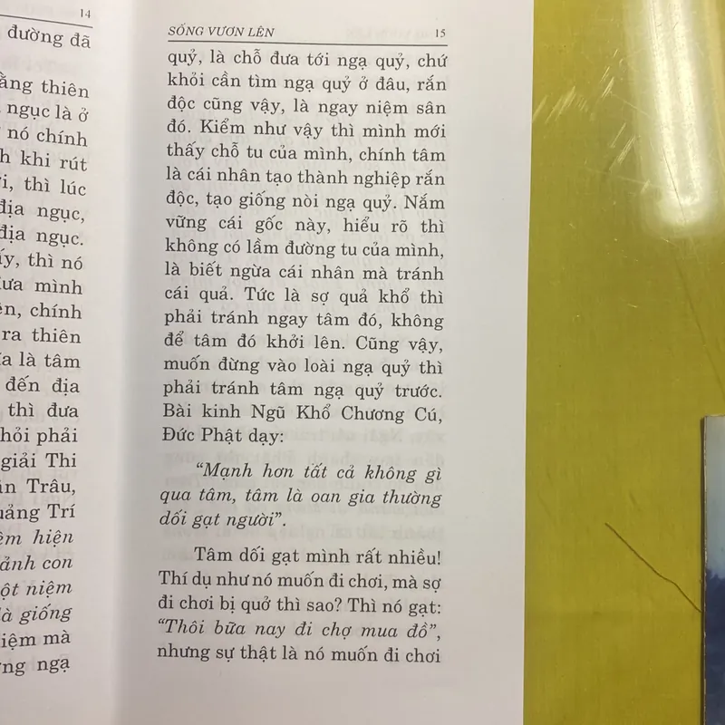 Sống Vươn Lên - Thích Thông Phương - Thiền Viện Trúc Lâm 680982