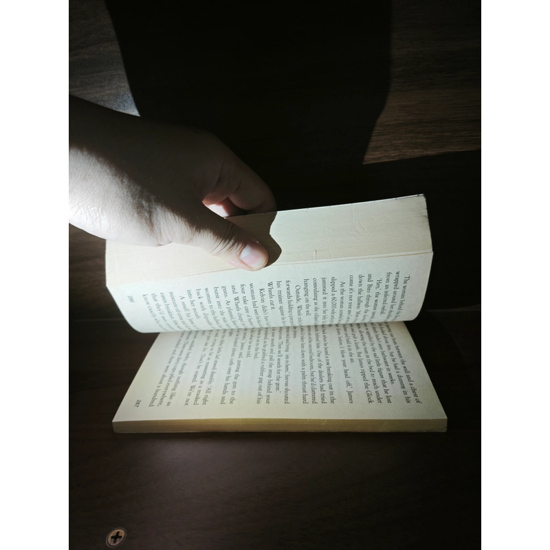 Ngoại văn Mad Dogs (CHERUB, #8) - Robert Muchamore cho trẻ từ 14 tuổi 548253