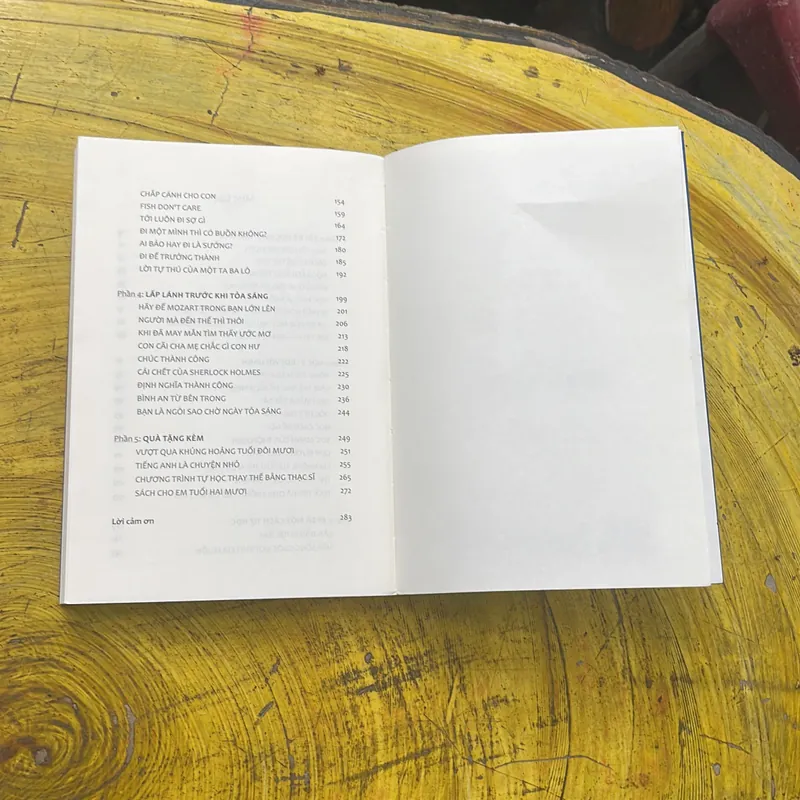 TUỔI TRẺ ĐÁNG GIÁ BAO NHIÊU- ROSIE NGUYỄN KÈM NOTEBOOOK 704313