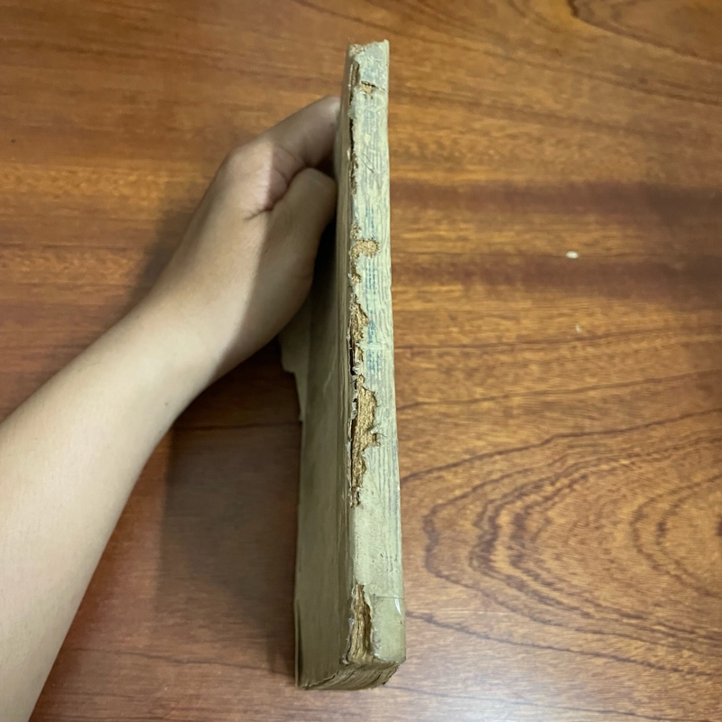 [Sách Xưa] - II Tiểu Thuyết Lịch Sử: Nhiếp Chính Ỷ Lan - Quỳnh Cư - 1986 495521