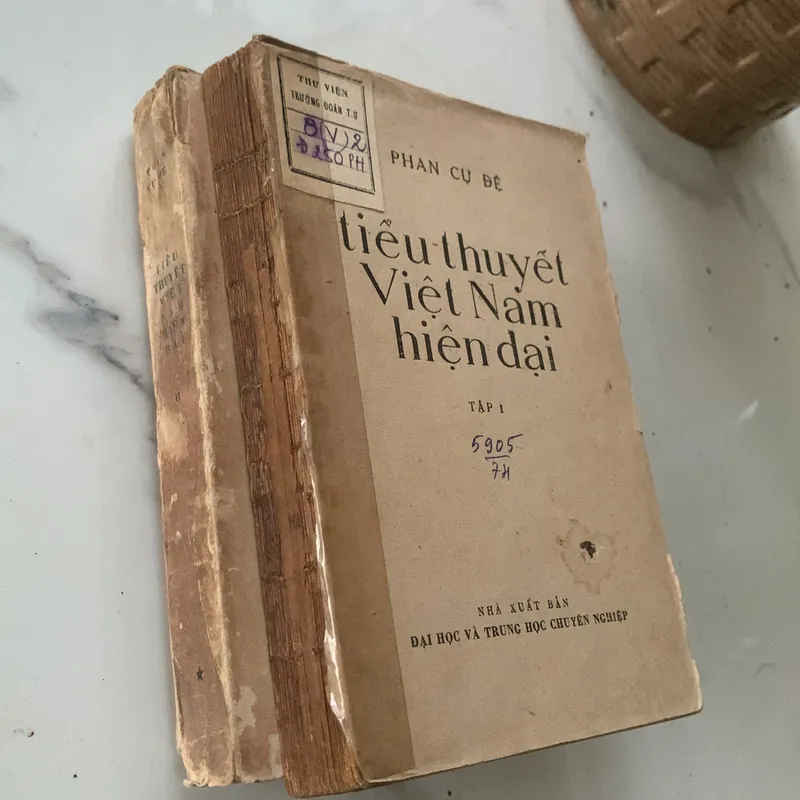 Tiểu thuyết Việt Nam hiện đại, Phan Cự Đệ 596731