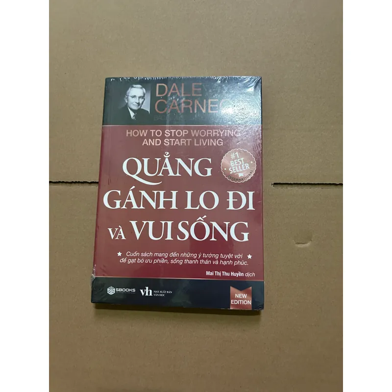 Quẳng gánh lo đi và vui sống - Dale Cargeie 708862