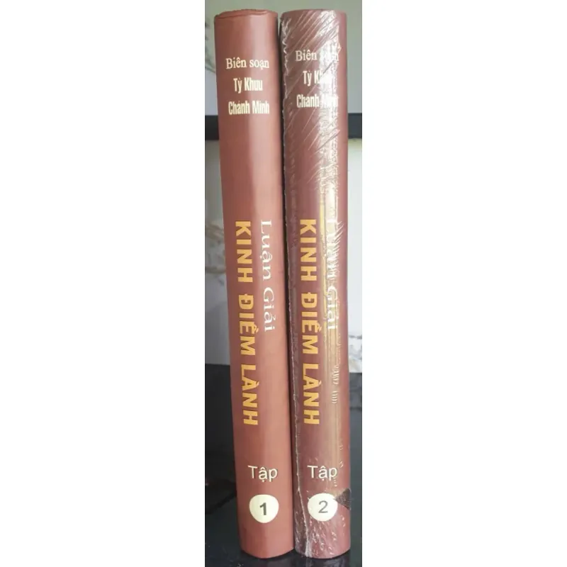 Luận giải Kinh Điềm Lành - Thầy Tỳ Khưu Chánh Minh 698195