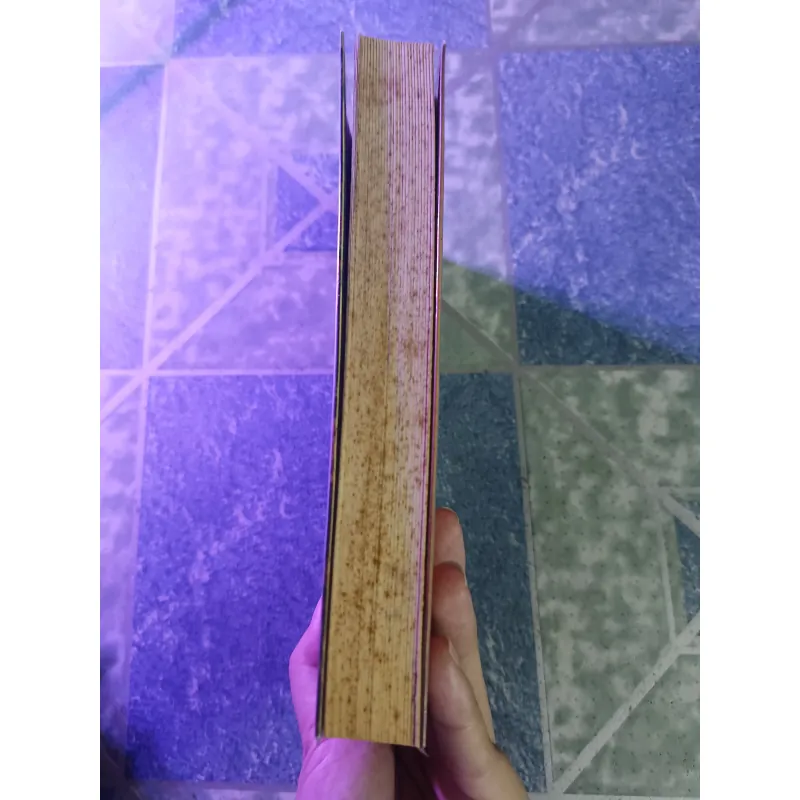 Đêm giới nghiêm - Basharat Peer 586191