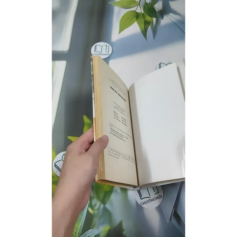 Phong Thủy Trong Hôn Nhân - Thanh Long 990527