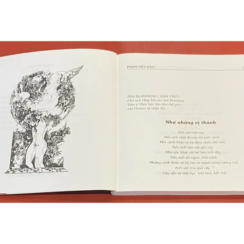 75 bài thơ tình tuyệt bút Romanie 603349