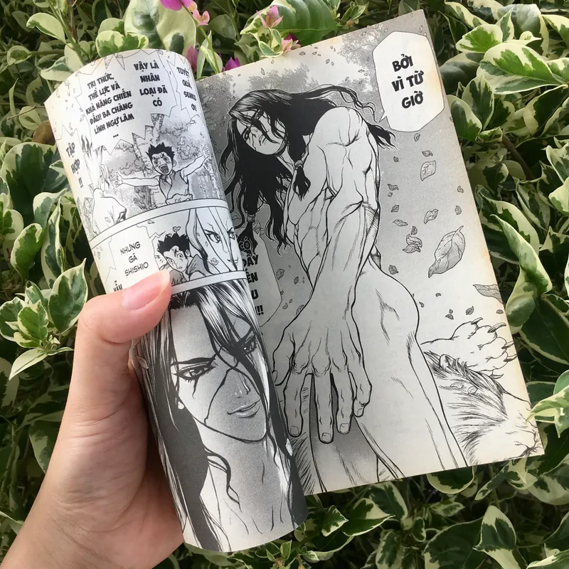 Truyện tranh Dr. Stone 1 + Card 598425